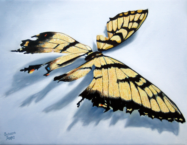 Contemplation: Remnants of Flight, oil on canvas, by Susanna Pantas